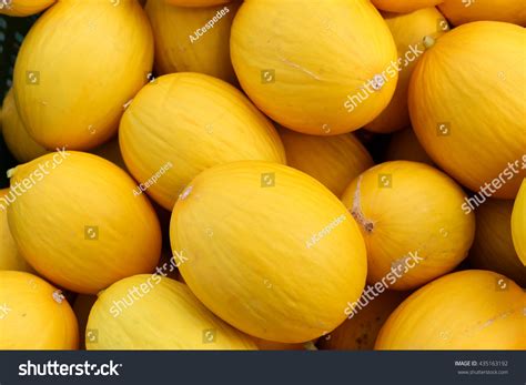 melon yellow images stock  vectors shutterstock