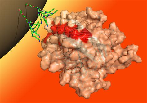 A Game-Changing Test for Prion, Alzheimer’s, and Parkinson’s Diseases