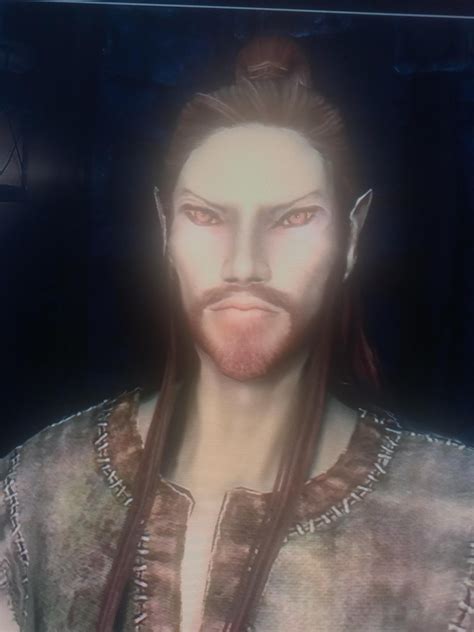 Making a half breed high elf character; thoughts? : r/skyrim