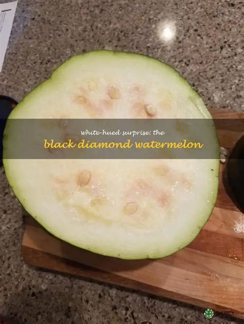 White-Hued Surprise: The Black Diamond Watermelon | ShunCy