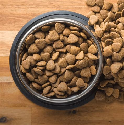 dog food petsforhomes