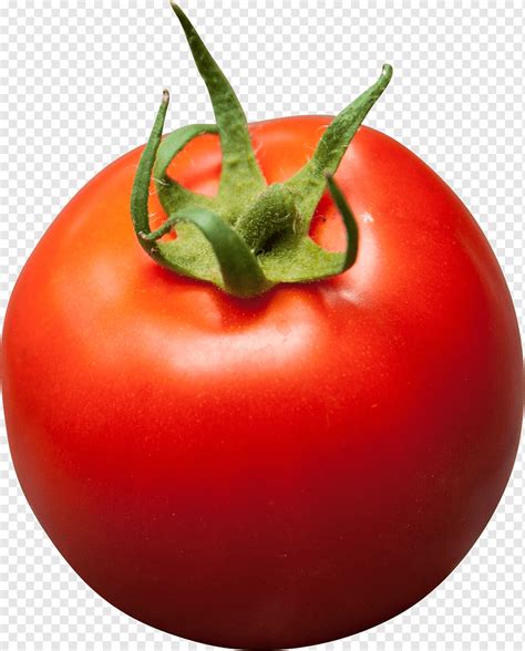 tomato fruit png pngwing