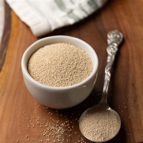 bakers yeast