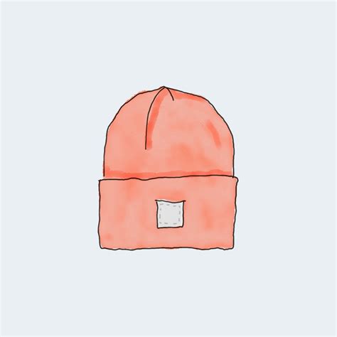 beanie  wordpress