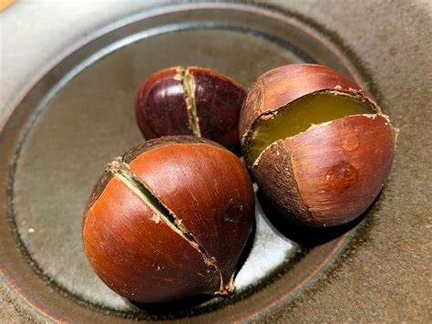 Cultivating Joy Through Chestnuts in Ibaraki