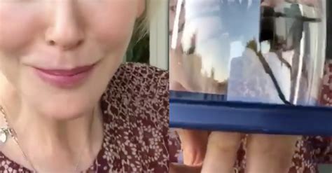 Nicole Kidman Just Caught A Tarantula In Her Pool And The Video Is ...