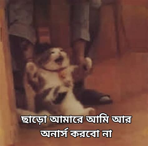 ri ju