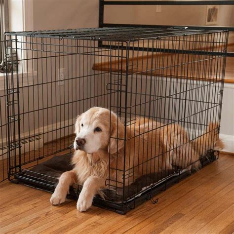 crate   crate  dog  fit pets