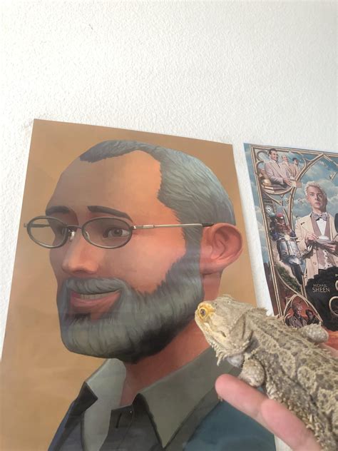 10000 best Bearded Dragon images on Pholder | Bearded Dragons, Aww and