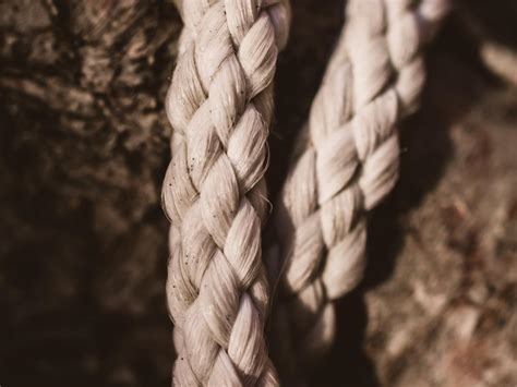 braided essay moving writers