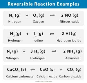reversible reaction definition conditions  examples