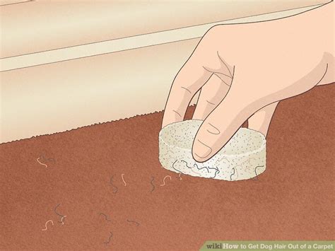 3 Unholy Combos: How To Get Tar And Grease Out Of Dog Hair Once And For All