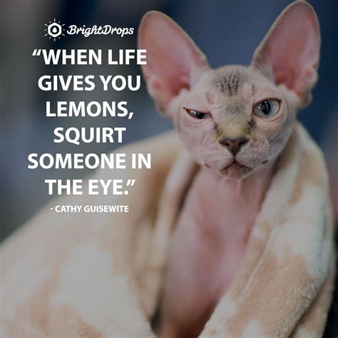 142 Funny (And Relatable) Inspirational Quotes to Celebrate Life ...