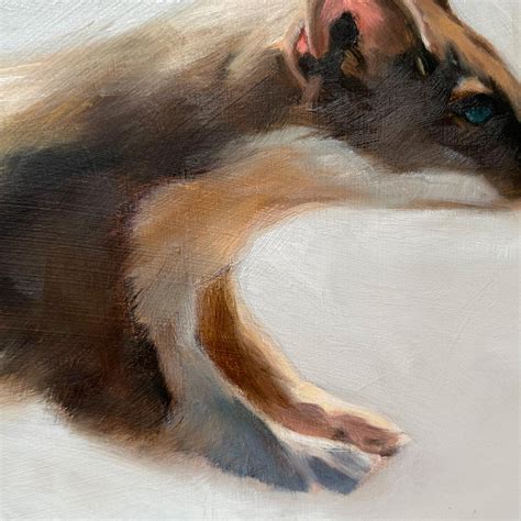 Aimée Hoover | Sorrel Sky Gallery | David Yarrow Photography