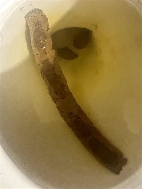 world's biggest turd 11