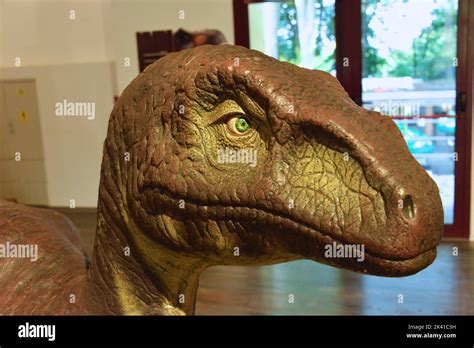 The prehistoric animals ever lived on earth million years ago Stock ...