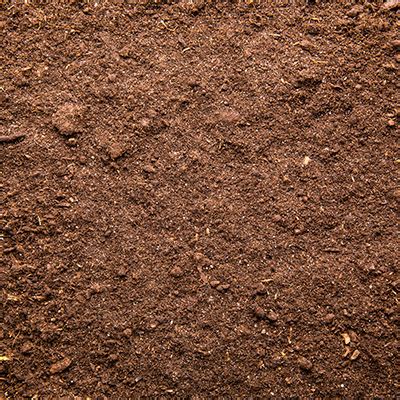 common fill dirt lupongovph