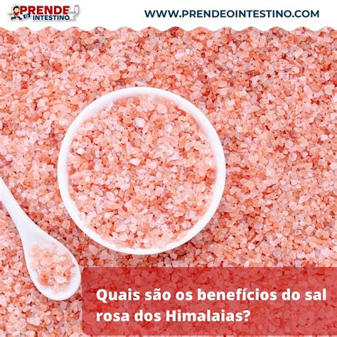 Sal Da Himalaia Benefícios - Sal rosa do himalaia: quais os benefícios e como consumir