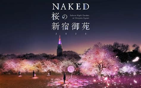japans cherry blossom  naked sakura night garden