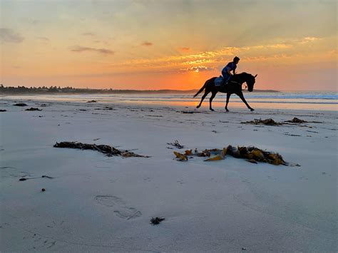 Jane Baker Racing Stables | Warrnambool VIC