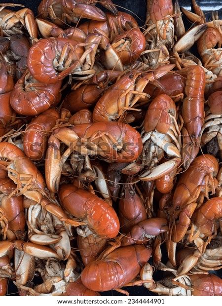 Images Of Wild Crawdad Photos and Images & Pictures | Shutterstock