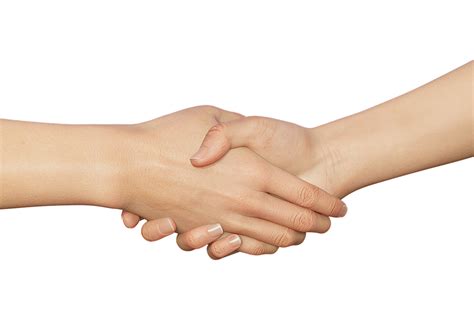 handshake drawing handshake images pixabay