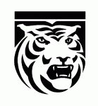 Colorado College hockey team statistics and history at hockeydb.com