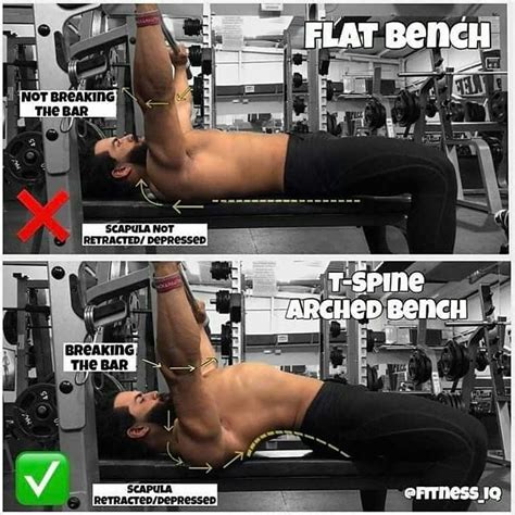bench exercises