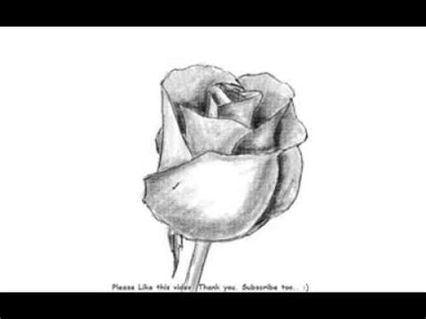 Shaded Rose Drawing at PaintingValley.com | Explore collection of Shaded Rose Drawing