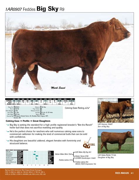 2009 Beef Genetic Management Guide by GENEX - Issuu