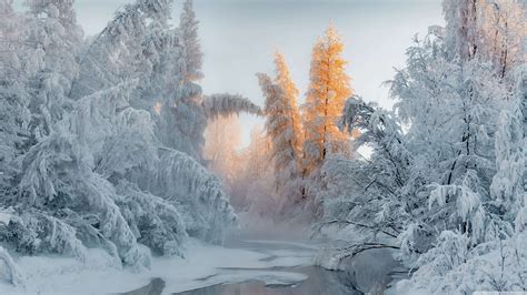 Winter Wonderland Hd Wallpaper For Pc 4k - Infoupdate.org