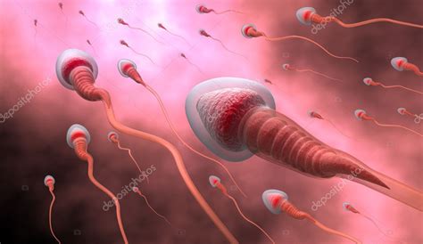 Natural Insemination Procedure