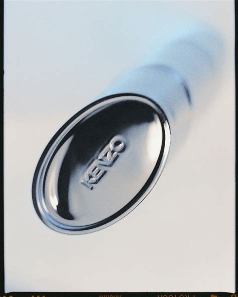 Polly T | Фотограф Москва (@pollytararina) • Instagram photos and videos