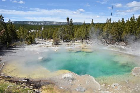 Man boiled alive in acidic Yellowstone hot spring named as Colin ...