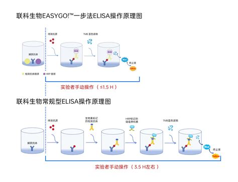 新品发布| ELISA届的“遥遥领先”，你也值得拥有！ - 联科生物