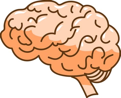 cerebro png grafico clipart diseno  png