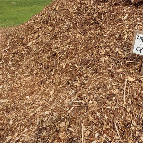 Professional Landscapers - Kool Breeze Farms