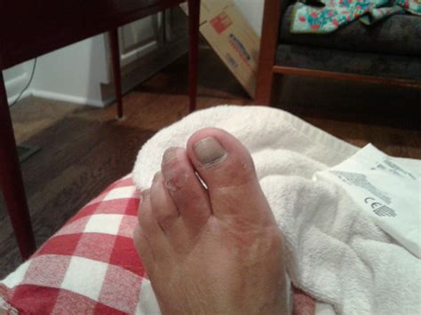 Melody Johnson: Dumb, dumber, dumbest