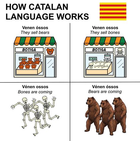 How Catalan language works : r/funny