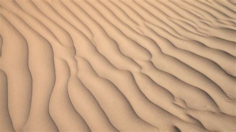 Desert Sand Texture