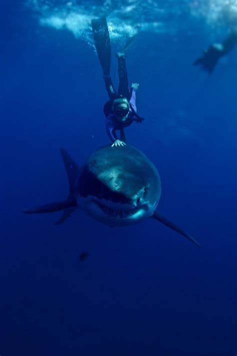 Ocean Ramsey Wallpapers - Wallpaper Cave