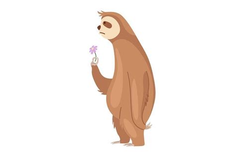 Cute Cartoon Sloth Bear