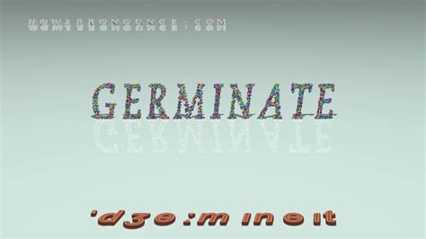 germinate - pronunciation + Examples in sentences and phrases - YouTube