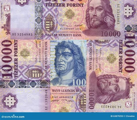 hungarian forint currency huf money royalty  stock photo