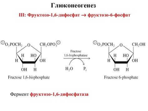 Лекция 7