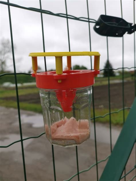 🪤 Selective asian hornet trap・Fichier STL Gratuit pour ・Cults