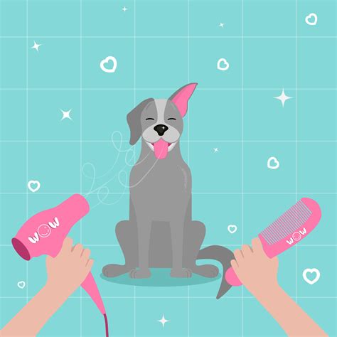 Grooming. Spa for dogs and dog care services. Happy little dogs take a