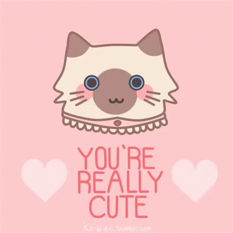 Youre Really Cute GIF - Youre Really Cute - Discover & Share GIFs