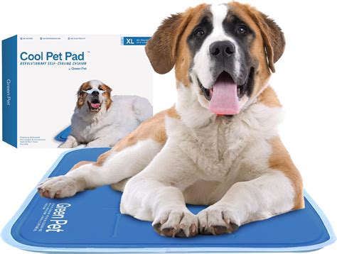 products    dogs cool   summer  green planet