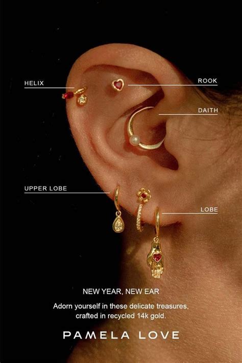 A comprehensive guide to every ear piercing style you can get – Artofit
